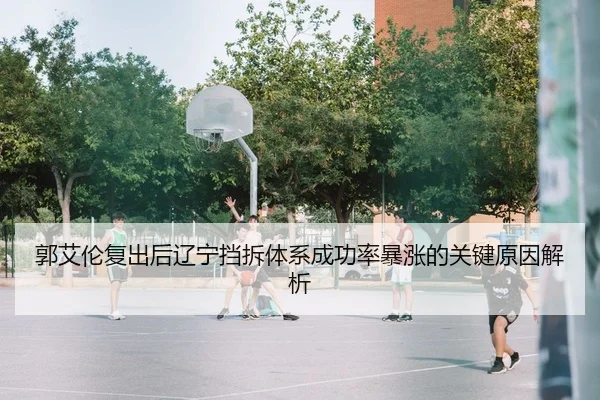 guo-ai-lun-fu-chu-hou-liao-ning-dang-chai-ti-xi-cheng-gong-lv-bao-zhang-de-guan-jian-yuan-yin-jie-xi-2-242.jpg