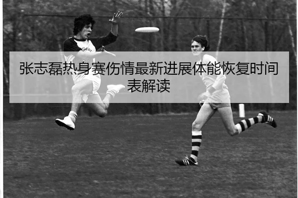 zhang-zhi-lei-re-shen-sai-shang-qing-zui-xin-jin-zhan-ti-neng-hui-fu-shi-jian-biao-jie-du-2-757.jpg